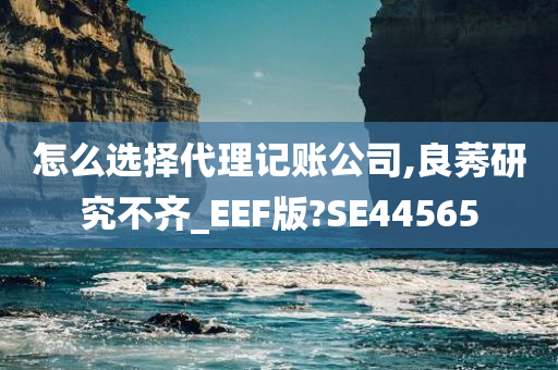 怎么选择代理记账公司,良莠研究不齐_EEF版?SE44565