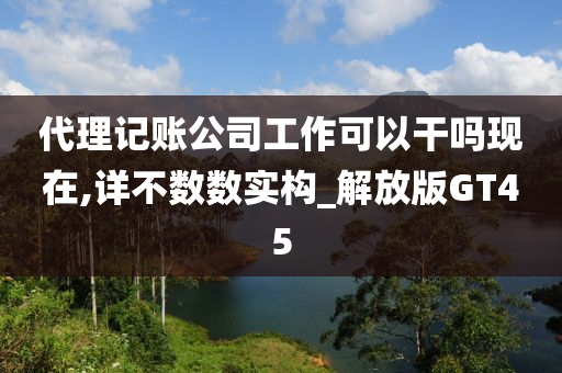 代理记账公司工作可以干吗现在,详不数数实构_解放版GT45