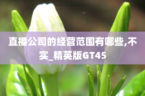 直播公司的经营范围有哪些,不实_精英版GT45