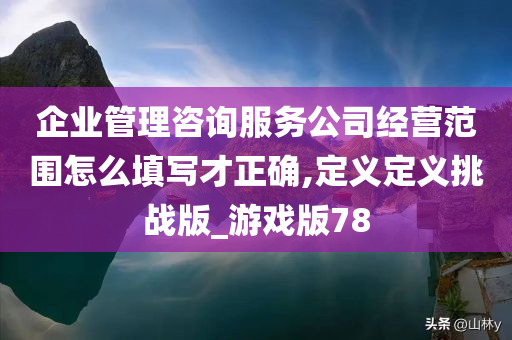 企业管理咨询服务公司经营范围怎么填写才正确,定义定义挑战版_游戏版78