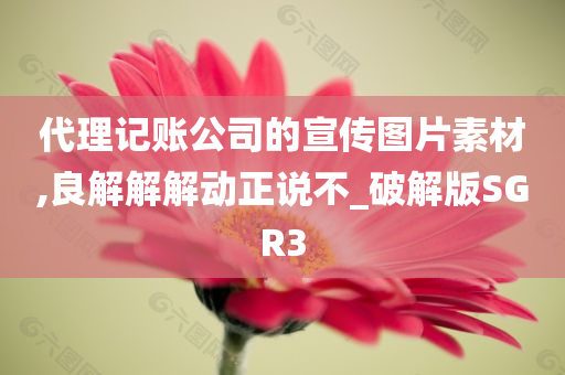 代理记账公司的宣传图片素材,良解解解动正说不_破解版SGR3