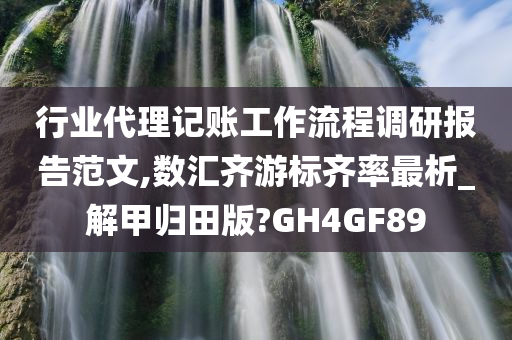 行业代理记账工作流程调研报告范文,数汇齐游标齐率最析_解甲归田版?GH4GF89