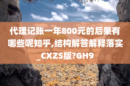 代理记账一年800元的后果有哪些呢知乎,结构解答解释落实_CXZS版?GH9