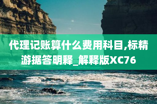 代理记账算什么费用科目,标精游据答明释_解释版XC76