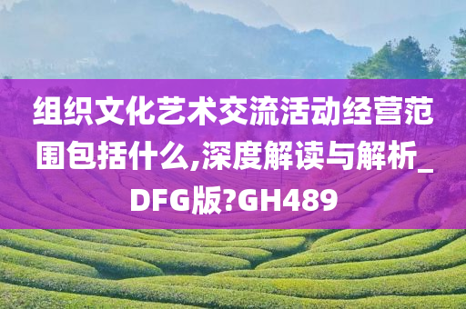 组织文化艺术交流活动经营范围包括什么,深度解读与解析_DFG版?GH489