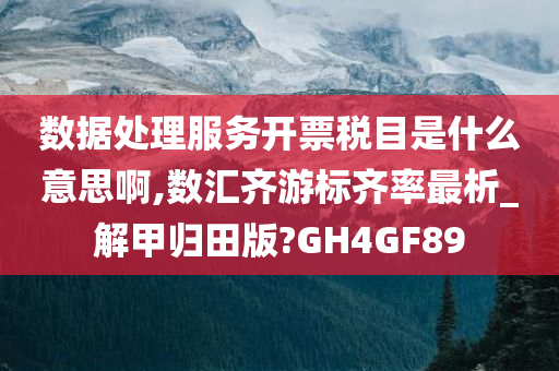 数据处理服务开票税目是什么意思啊,数汇齐游标齐率最析_解甲归田版?GH4GF89