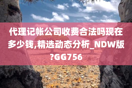 代理记帐公司收费合法吗现在多少钱,精选动态分析_NDW版?GG756