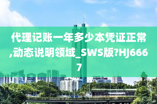 代理记账一年多少本凭证正常,动态说明领域_SWS版?HJ6667