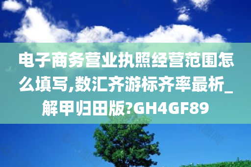 电子商务营业执照经营范围怎么填写,数汇齐游标齐率最析_解甲归田版?GH4GF89