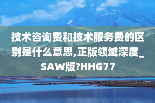 技术咨询费和技术服务费的区别是什么意思,正版领域深度_SAW版?HHG77