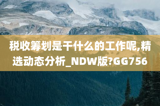 税收筹划是干什么的工作呢,精选动态分析_NDW版?GG756