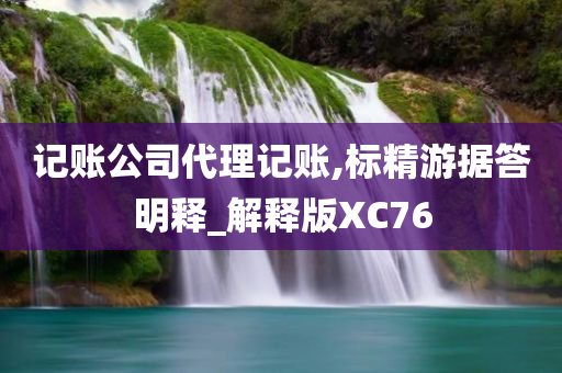 记账公司代理记账,标精游据答明释_解释版XC76