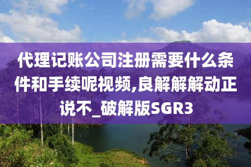 代理记账公司注册需要什么条件和手续呢视频,良解解解动正说不_破解版SGR3