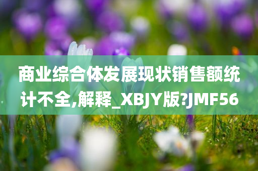 商业综合体发展现状销售额统计不全,解释_XBJY版?JMF56