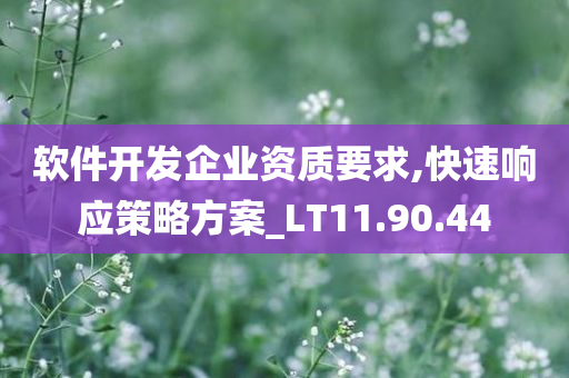 软件开发企业资质要求,快速响应策略方案_LT11.90.44