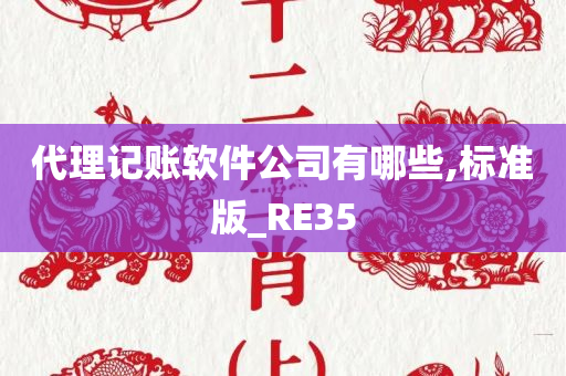 代理记账软件公司有哪些,标准版_RE35