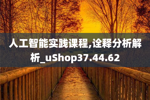 人工智能实践课程,诠释分析解析_uShop37.44.62