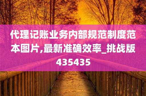 代理记账业务内部规范制度范本图片,最新准确效率_挑战版435435