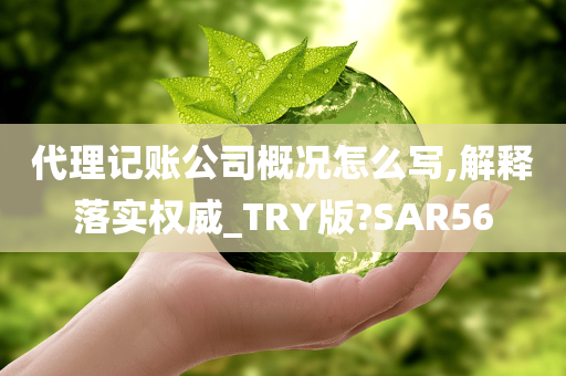 代理记账公司概况怎么写,解释落实权威_TRY版?SAR56