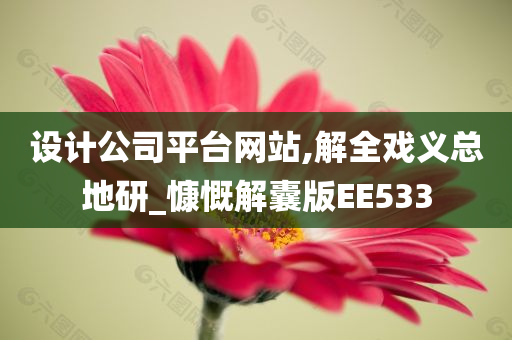 设计公司平台网站,解全戏义总地研_慷慨解囊版EE533