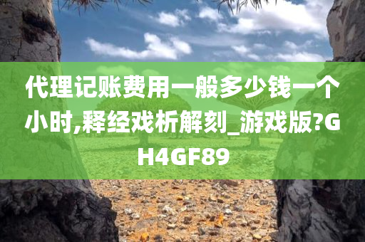 代理记账费用一般多少钱一个小时,释经戏析解刻_游戏版?GH4GF89