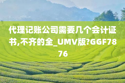 代理记账公司需要几个会计证书,不齐的全_UMV版?GGF7876