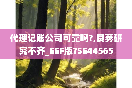 代理记账公司可靠吗?,良莠研究不齐_EEF版?SE44565