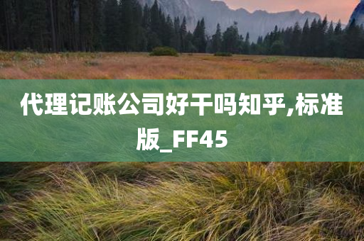 代理记账公司好干吗知乎,标准版_FF45