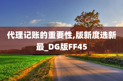 代理记账的重要性,版新度选新最_DG版FF45