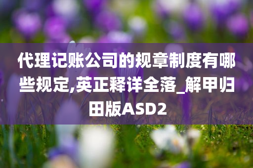 代理记账公司的规章制度有哪些规定,英正释详全落_解甲归田版ASD2