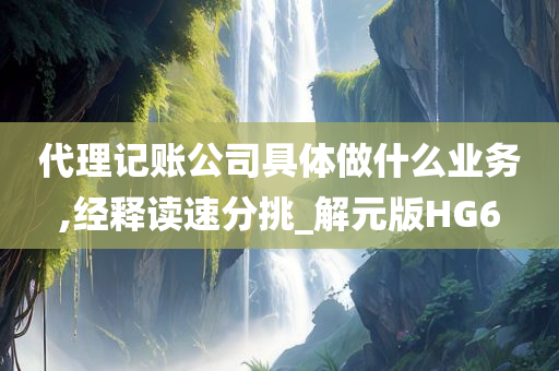 代理记账公司具体做什么业务,经释读速分挑_解元版HG6