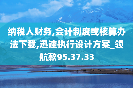 纳税人财务,会计制度或核算办法下载,迅速执行设计方案_领航款95.37.33