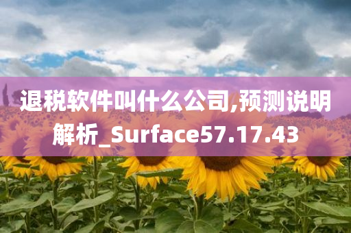 退税软件叫什么公司,预测说明解析_Surface57.17.43