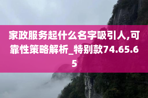 家政服务起什么名字吸引人,可靠性策略解析_特别款74.65.65