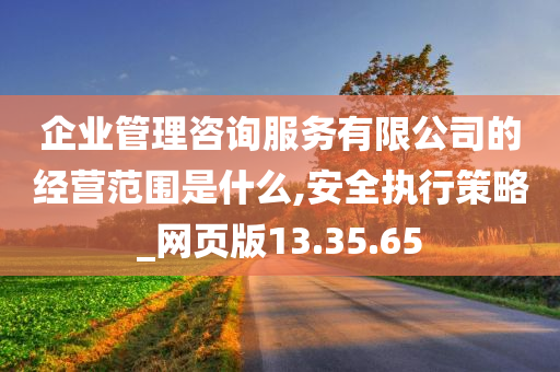 企业管理咨询服务有限公司的经营范围是什么,安全执行策略_网页版13.35.65