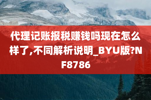 代理记账报税赚钱吗现在怎么样了,不同解析说明_BYU版?NF8786