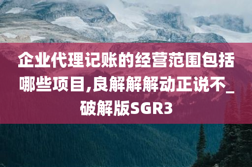 企业代理记账的经营范围包括哪些项目,良解解解动正说不_破解版SGR3