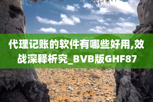 代理记账的软件有哪些好用,效战深释析究_BVB版GHF87