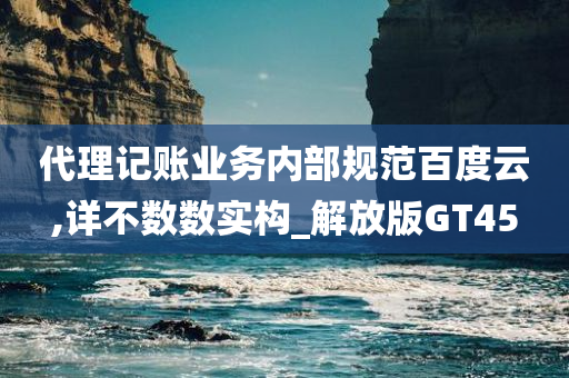 代理记账业务内部规范百度云,详不数数实构_解放版GT45