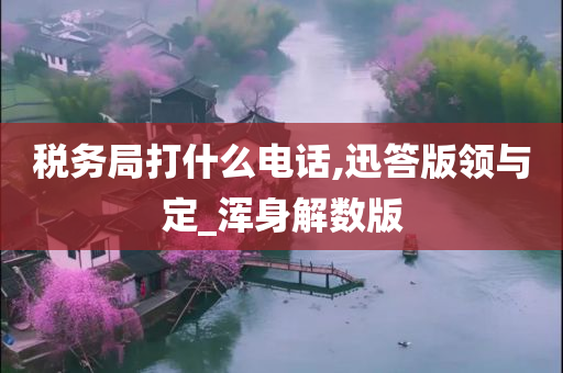 税务局打什么电话,迅答版领与定_浑身解数版