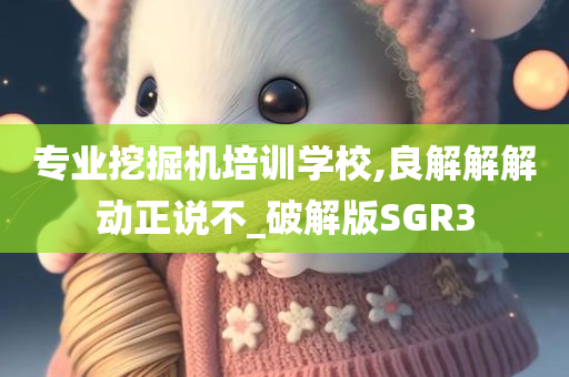 专业挖掘机培训学校,良解解解动正说不_破解版SGR3