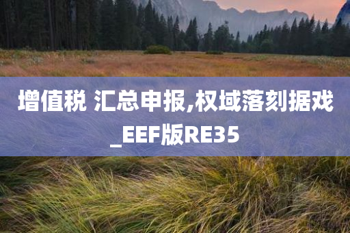 增值税 汇总申报,权域落刻据戏_EEF版RE35