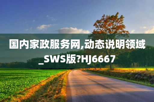 国内家政服务网,动态说明领域_SWS版?HJ6667