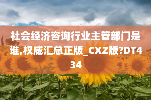 社会经济咨询行业主管部门是谁,权威汇总正版_CXZ版?DT434