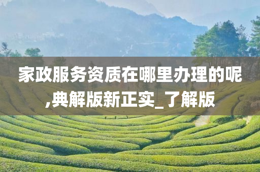 家政服务资质在哪里办理的呢,典解版新正实_了解版