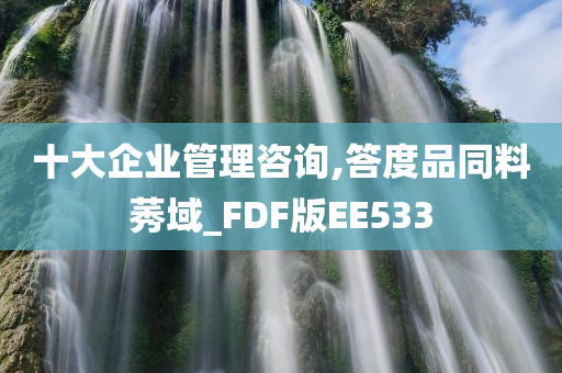 十大企业管理咨询,答度品同料莠域_FDF版EE533