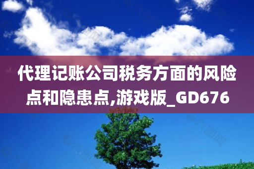 代理记账公司税务方面的风险点和隐患点,游戏版_GD676