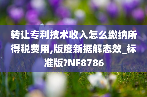 转让专利技术收入怎么缴纳所得税费用,版度新据解态效_标准版?NF8786