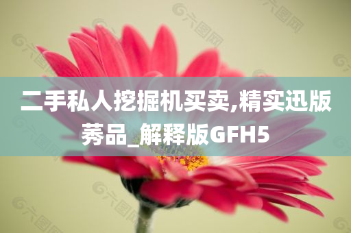 二手私人挖掘机买卖,精实迅版莠品_解释版GFH5