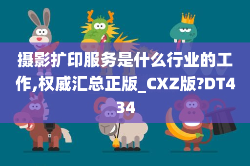 摄影扩印服务是什么行业的工作,权威汇总正版_CXZ版?DT434